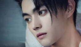 圈内爆料许凯女友是白鹿,与当红小花旦白鹿甜蜜热恋