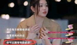 刘大锤爆料杨幂视频合集,杨幂视频合集大揭秘