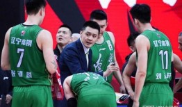 杨鸣回归最新爆料消息,揭秘幕后故事与未来展望