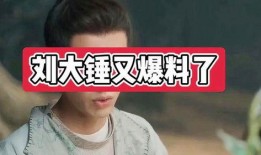 娱乐圈刘大锤爆料事件,揭秘明星幕后真相