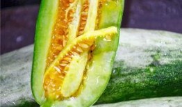年轻网红吃瓜,年轻一代的娱乐狂欢