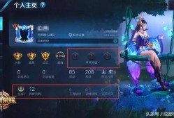 王者官方怎么看最新爆料,最新爆料深度解析