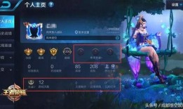 王者官方怎么看最新爆料,最新爆料深度解析