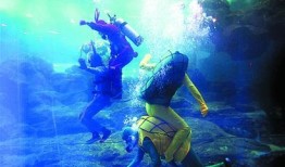 海底世界cf最新爆料是什么,神秘新角色与全新玩法即将揭晓