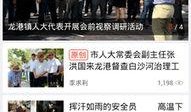 龙港草根新闻爆料事件最新,揭秘背后真相与网络舆论风暴