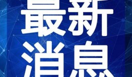 全麦烧饼最新爆料视频,揭秘制作过程与口感升级