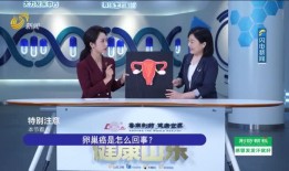 大福电台爆料新闻视频播放,最新爆料新闻视频幕后真相