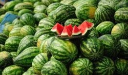 广西网红吃瓜事件真相,真相背后的网络风波