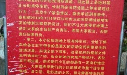 高价收爆料视频,视频背后的惊人真相