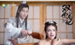 双世宠妃在线观看全集,穿越时空的甜蜜爱恋