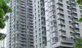 郑州光星苑最新爆料,揭秘神秘项目背后的真相与未来展望